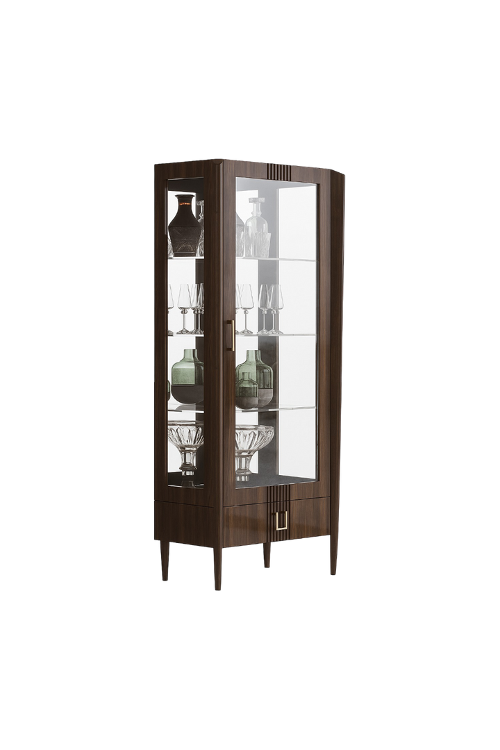 Vintage 1 Door Curio