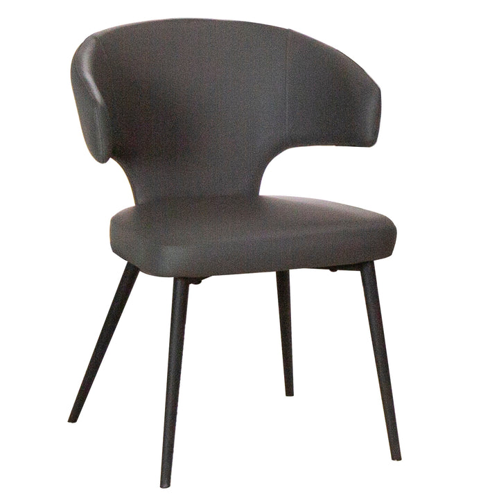 Casia Charcoal